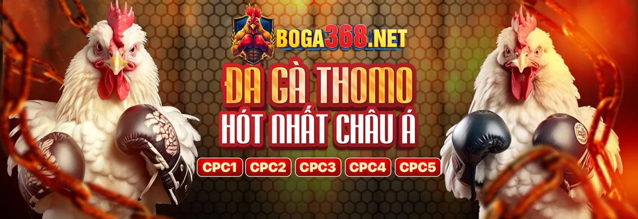 Đá Gà Trực Tuyến Hấp Dẫn tại 11u
